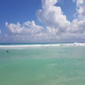 David Treboz's photo