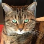 Suzanne Godin's photo