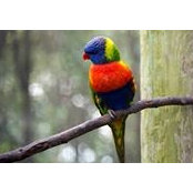 Alan Waldrop's photo