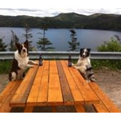 Jason Kreifels's photo