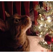 Kevin Buskirk's photo