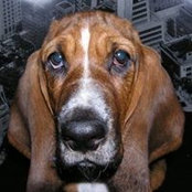 Frank Griffin's photo