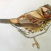 Karla Vanhuysen-Trapp's photo