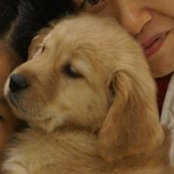 Yasuhiro Kawai's photo