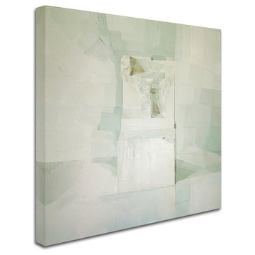 'White' Canvas Art by Daniel Cacouault