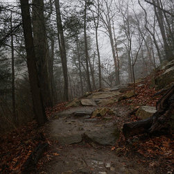 Muddy Path, 2018 - Prints And Posters