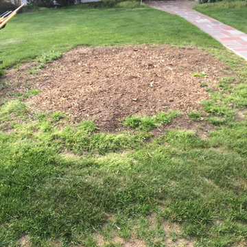 Landscape - Front Foundation