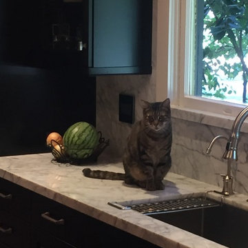 Curtis Park Kitchen and Bath Design & Remodel