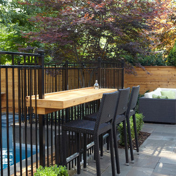Custom Concrete Pool with Wood Deck