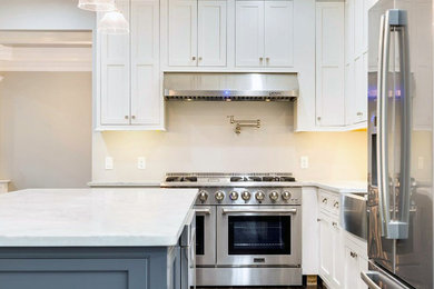 Inspiration for a large transitional l-shaped dark wood floor and brown floor kitchen pantry remodel in Other with a farmhouse sink, recessed-panel cabinets, white cabinets, quartz countertops, stainless steel appliances, an island and white countertops