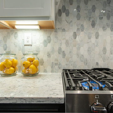 The Dogwood Model in Westland Oaks