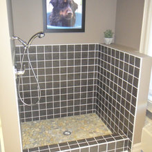 Dog Shower