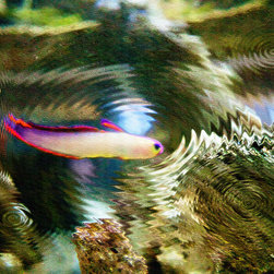 Aquarium Art 25 - Artwork