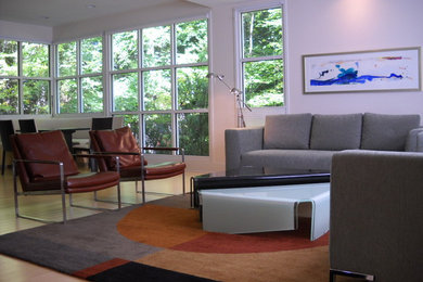 Inspiration for a modern living room remodel in Raleigh