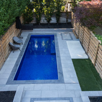 Modern Rectangular Swimming Pool & Backyard Renovation