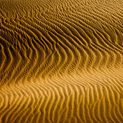 Douglas Page Photographic Arts - Sandscapes Designer Series No.22 - Prints And Posters