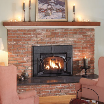 Jotul Gl 350 DV Little Diamond Gas Insert