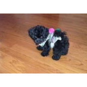 Alma Lopez's photo