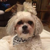 Shelly Gryp's photo