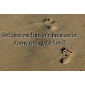 Toni Hernandez's photo