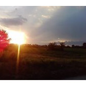 Foto von Carla Matthews