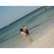 Dulce Gls foto