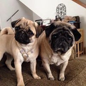 Jodi Arnold's photo