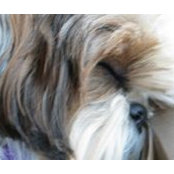 Tana Buckley's photo