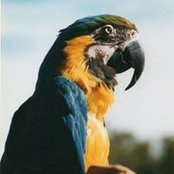 Jeanie Confer's photo