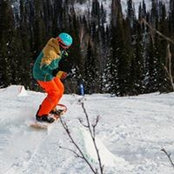 Grigory Solomin's photo