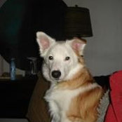 Julie Beebe's photo
