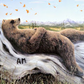 Mikhail Afendikov's photo