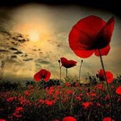 Crystal Wright's photo