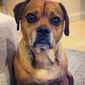 Riley Patrick Puggleさんの写真