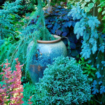 Woodland garden 1