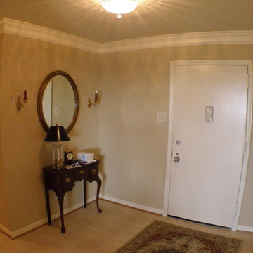 Alexandria Condo Remodel
