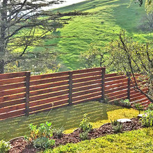 Privacy Fence