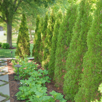 Geneva Privacy Trees Patio Design