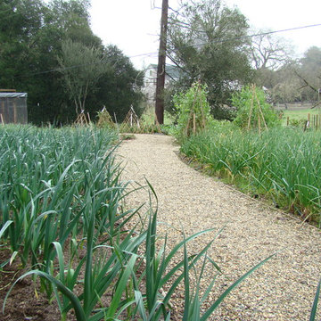 Vegetable gardens