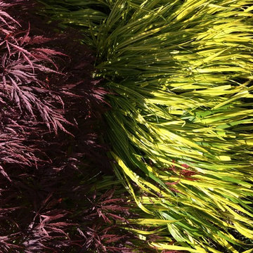 Winning plant combination