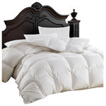 Egyptian Bedding - Luxurious Siberian Goose Down Comforter 600 Thread Count 750FP, Twin XL - Package contains One White Goose Down Comforter in a beautiful zippered package. Wrap yourself in these 100% Egyptian Cotton Superior Down Comforters that are truly worthy of a classy elegant suite, and are found in world class hotels. Woven to a luxurious 600 threads per square inch,these fine Down Comforters are crafted from Long Staple Giza Cotton grown in the lush Nile River Valley since the time of the Pharaohs. Comfort, quality and opulence set our Luxury Bedding in a class above the rest. The ultimate in luxury! this amazing light 750 + fill power goose down comforter floats within a 600 Thread count 100% Egyptian cotton .The result is a comforter so luxurious and soft, you will believe you are truly covering with a cloud, night after night. Warranty only when purchased from Egyptian Bedding Reseller.