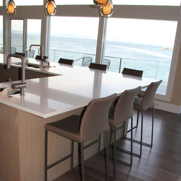 Puget Sound Waterfront Project