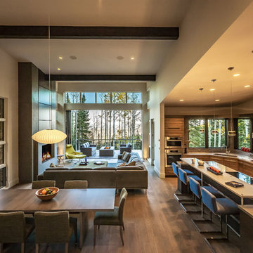A House In The Colony