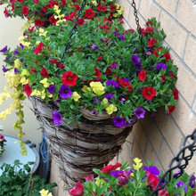planter for fl. lanai