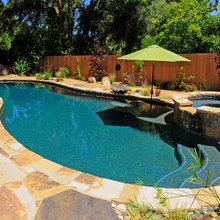 Landscape Ideas