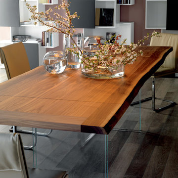 Contemporary Dining Room