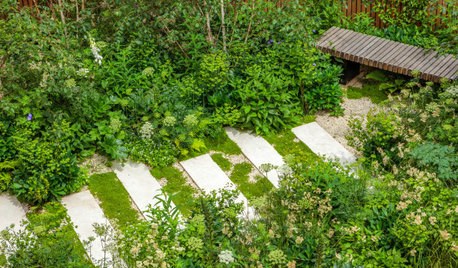 Key Features to Include in Your New Garden