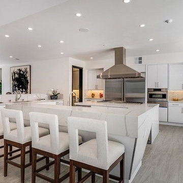 Encino Kitchen Remodel