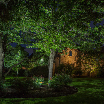 Low Voltage Up Lighting and Moon Lighting- Southlake