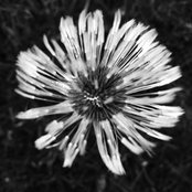 Hannah Martin's photo